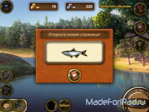 Игра Рыбное место для iPad