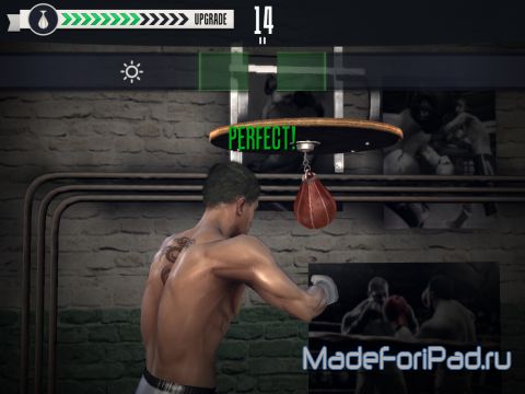 Игра Real Boxing для iPad
