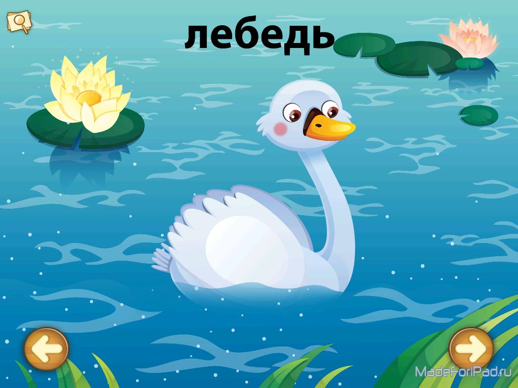 Игра Веселые прятки для iPad | Все для iPad