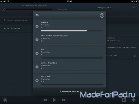 Приложение Vinyl - музыка ВКонтакте для iPad