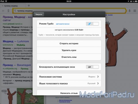 Яндекс.Браузер для iPad. Что? Где? Когда?