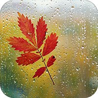 Обои для iPad Выпуск 24 - Дождливая осень (iOS 7 Ready)