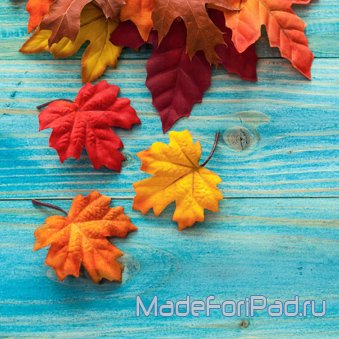 Обои для iPad Выпуск 75 - Золотая осень, желтые листья, листопад