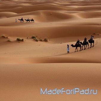 Обои для iPad Выпуск 86 – пустыня, пустошь, пустырь, пески, дюны