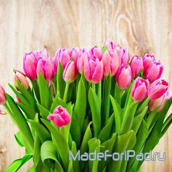 Обои для iPad Выпуск 98 – 8 марта, поздравление, цветы