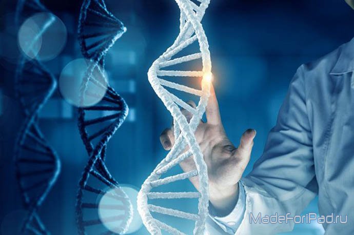 ДНК-тесты онлайн - в чем их опасность