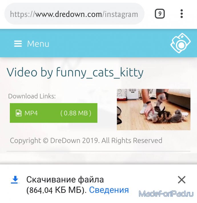Как скачать видео из Instagram на Windows и Android
