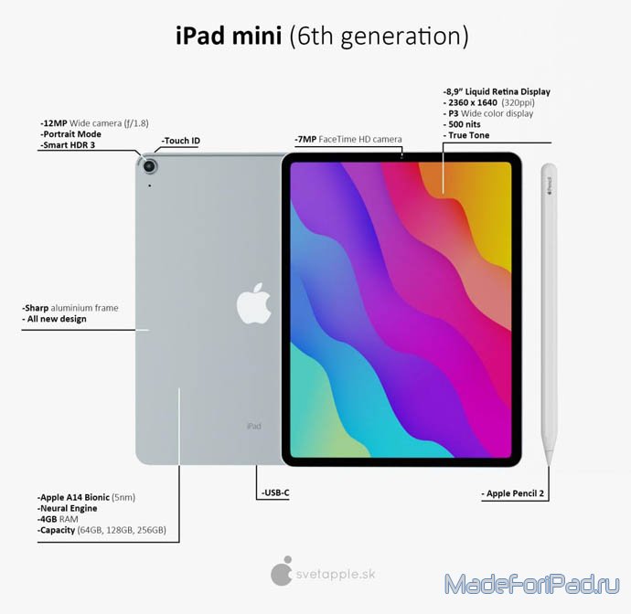 iPad mini Pro и iPad mini 6 - что-то новенькое от Apple